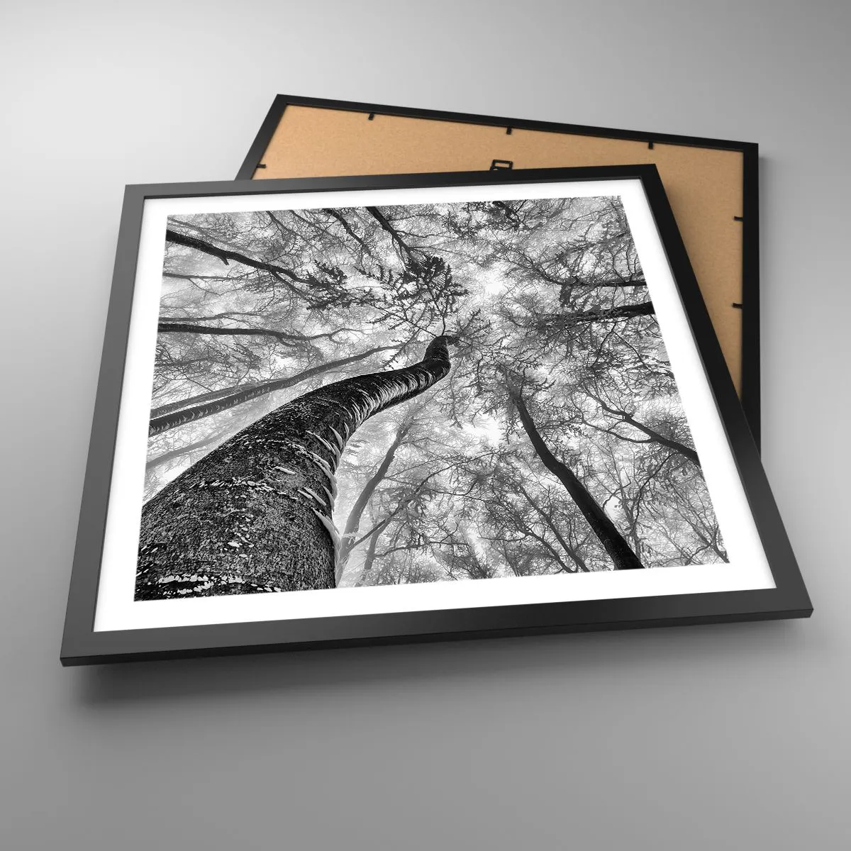 Poszter fehér keretben - Verseny a fény felé - 50x50 cm