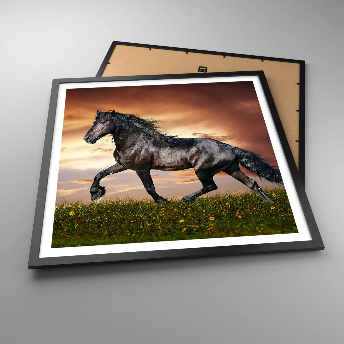 Poszter fehér keretben - Fekete herceg - 60x60 cm