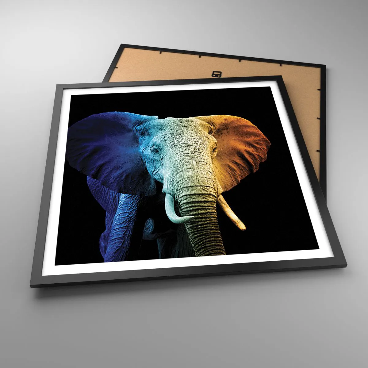 Affisch i svart ram - Excentriker, ej kuf - 60x60 cm