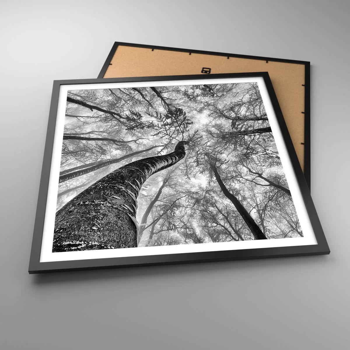 Poszter fehér keretben - Verseny a fény felé - 60x60 cm