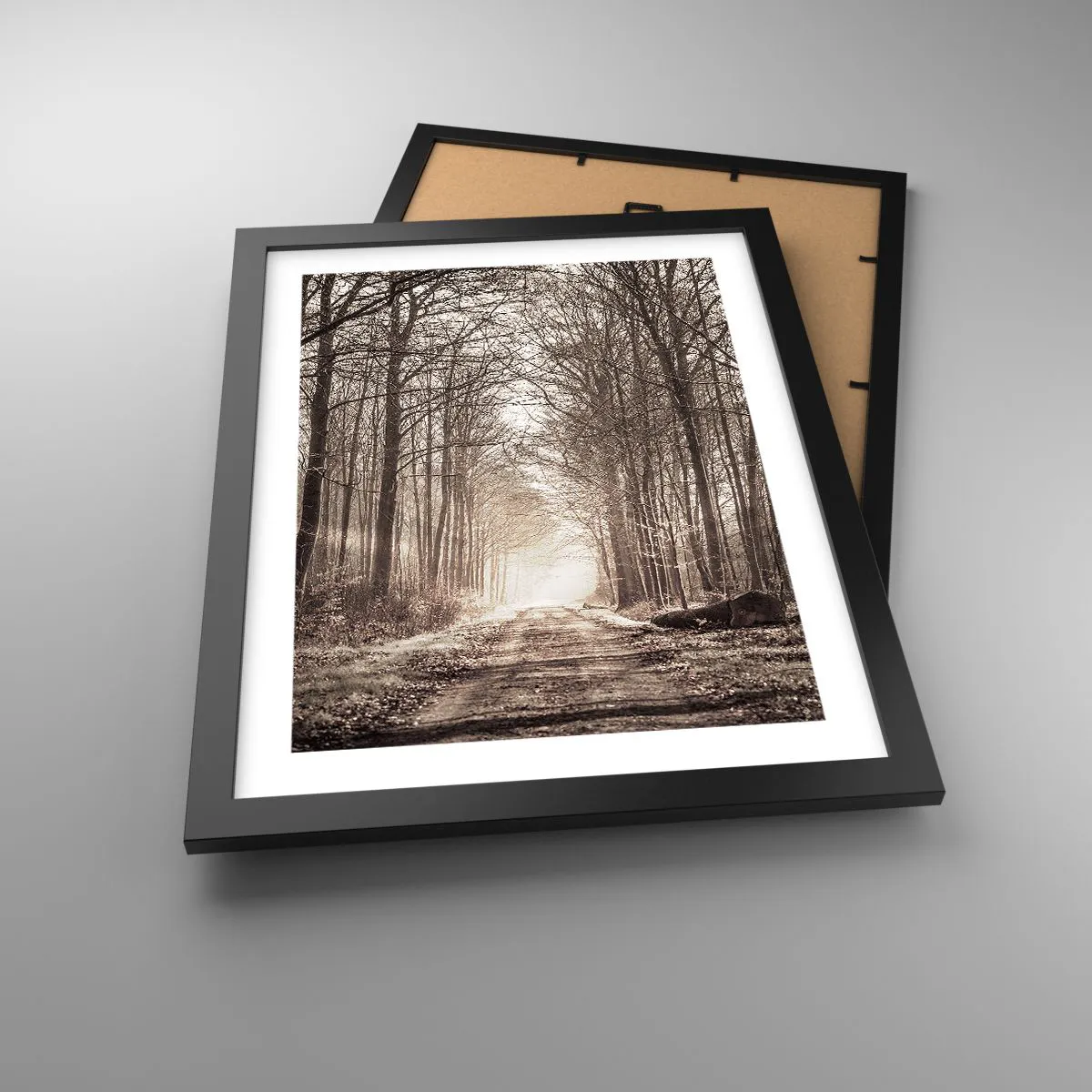 Affiche dans un cadre noir - Poster - Cathédrale de la forêt - 30x40 cm