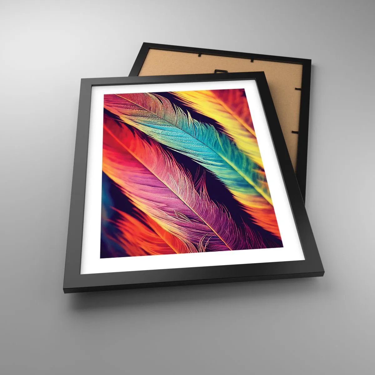 Poster in cornice nera - Arcobaleno piumato - 30x40 cm