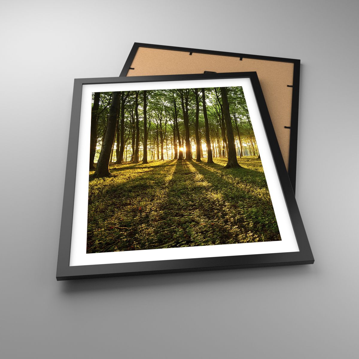 Affiche Paysage, Affiche Forêt, Affiche La Nature, Affiche Des Arbres, Affiche Rayons Du Soleil