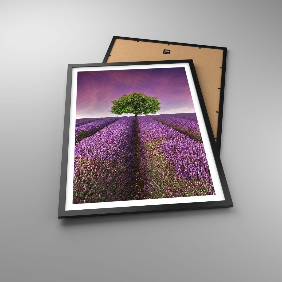 Poster Landschaft, Poster Lavendelfeld, Poster Natur, Poster Der Sonnenuntergang, Poster Baum