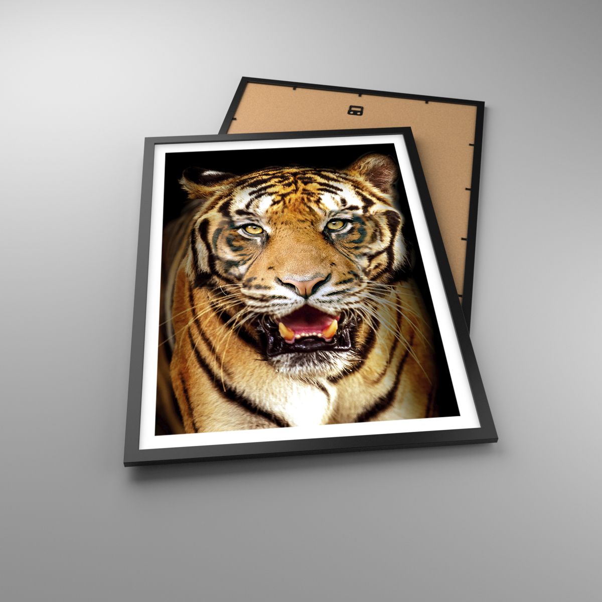 Poster Tiere, Poster Tiger, Poster Raubtier, Poster Safari, Poster Afrika