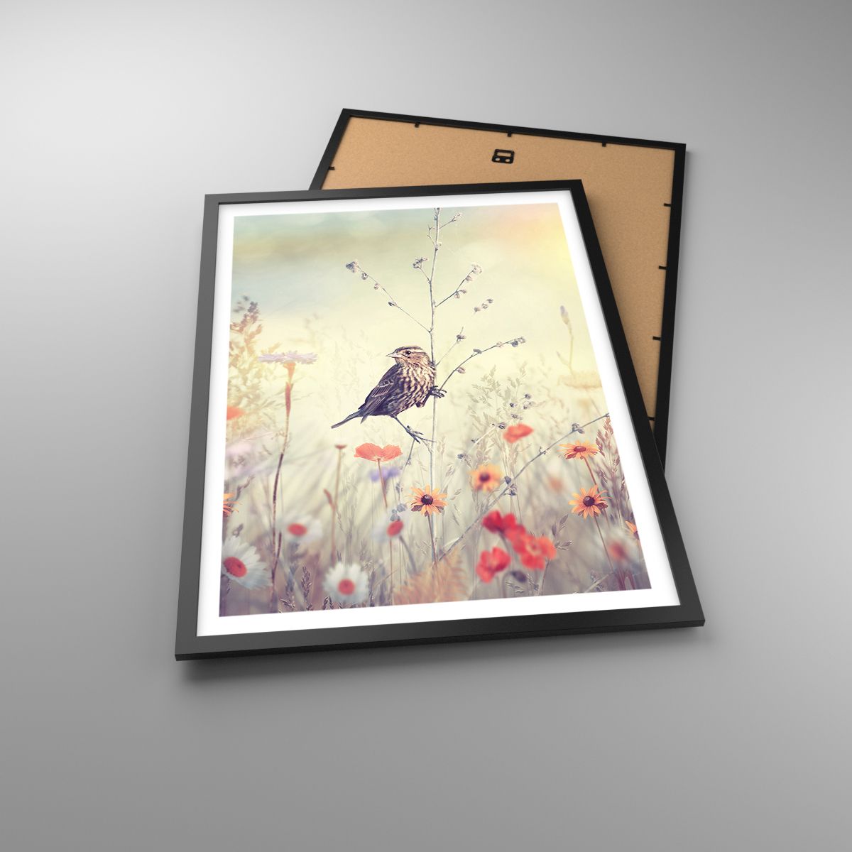 Poster Bird, Poster Meadow, Poster Nature, Poster Field Flowers, Poster Sparrow