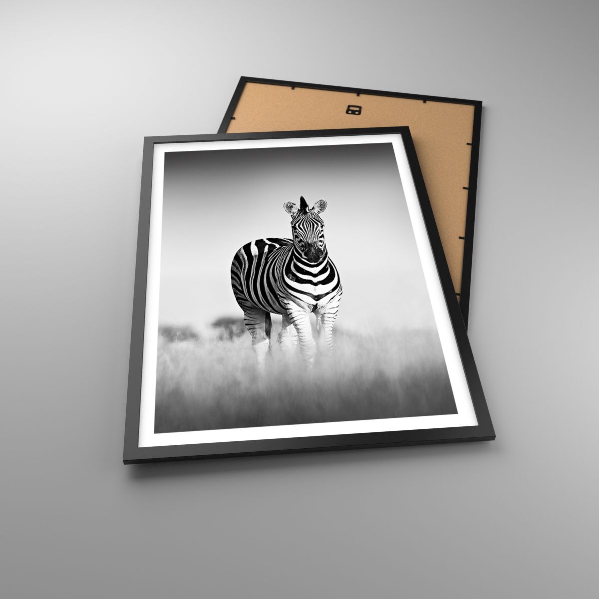 Poster Tiere, Poster Rippen, Poster Schwarz Und Weiß, Poster Safari, Poster Afrika