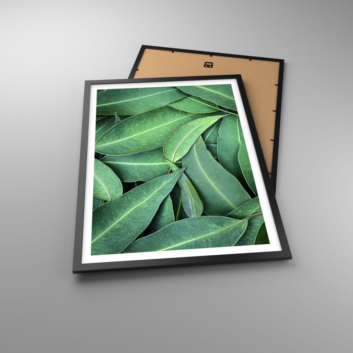 Poster Laub, Poster Eukalyptus, Poster Natur, Poster Tropische Pflanze, Poster Flora