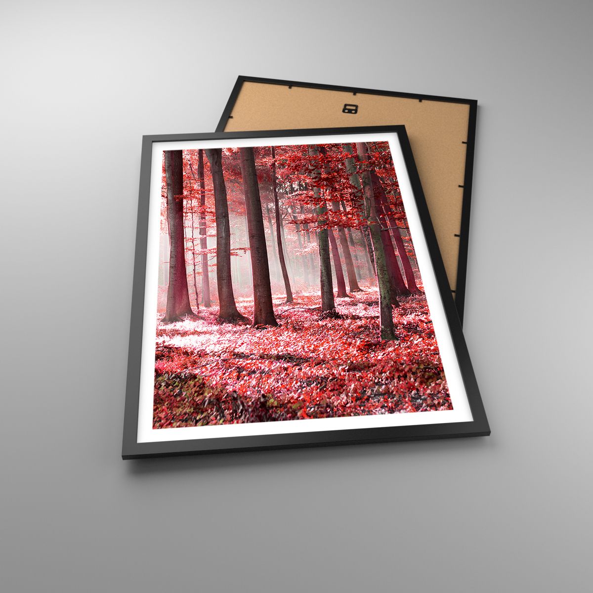 Poster Landschaft, Poster Wald, Poster Bäume, Poster Natur, Poster Rote Blätter