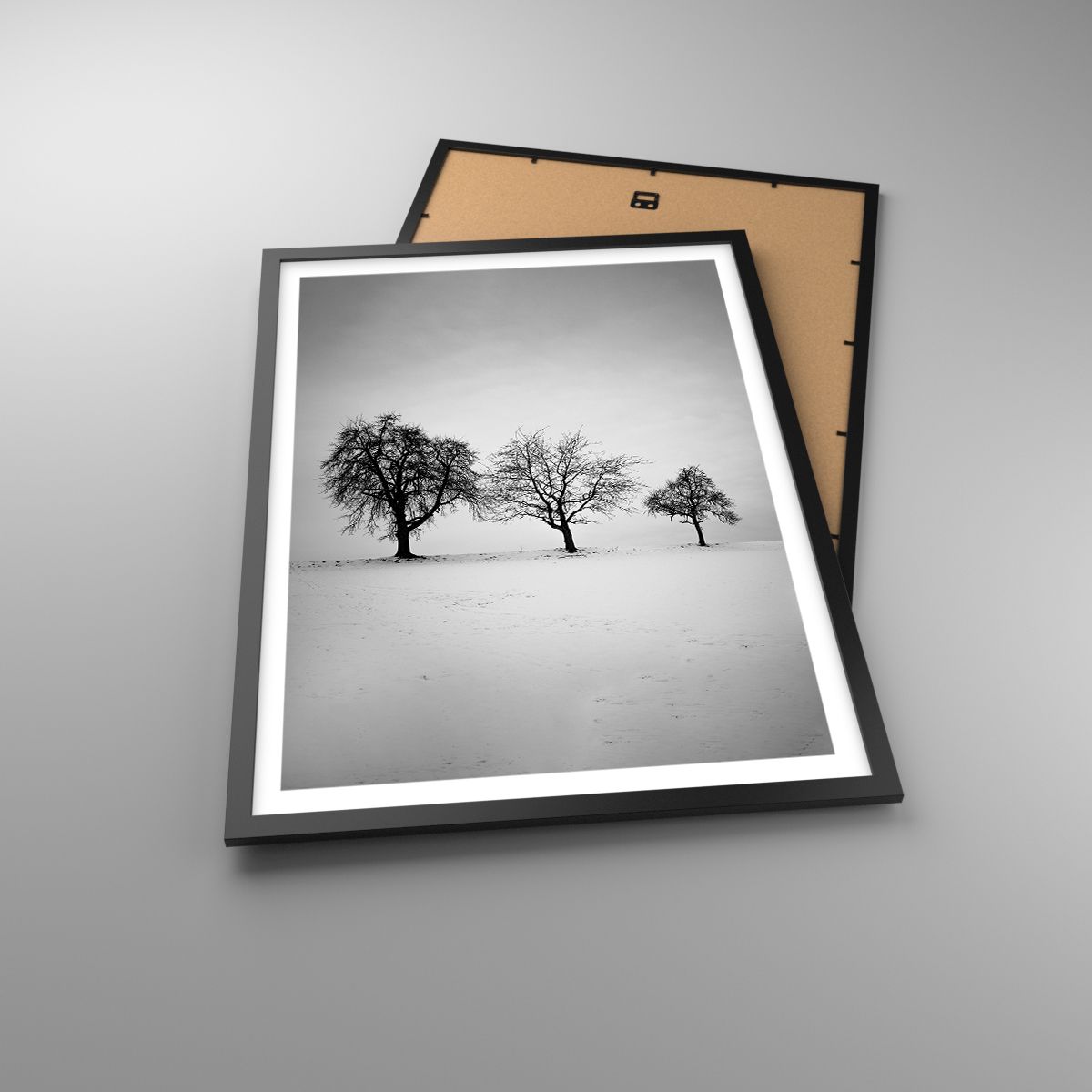 Poster Landschaft, Poster Bäume, Poster Winter, Poster Natur, Poster Schwarz Und Weiß