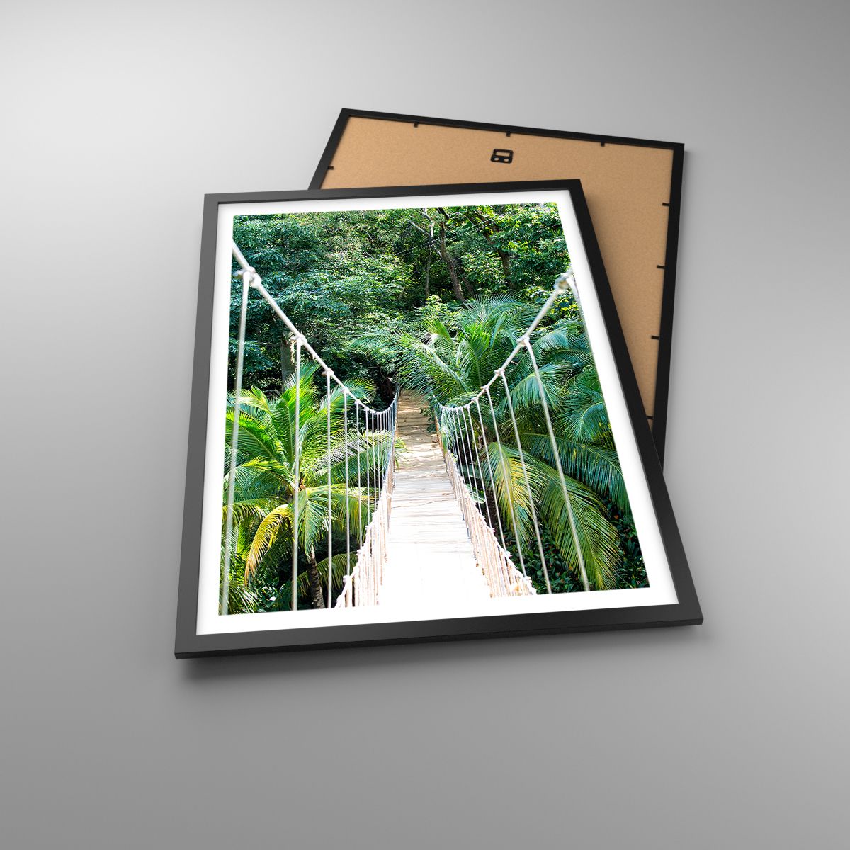 Affiche Paysage, Affiche Jungle, Affiche Honduras, Affiche Pont Suspendu, Affiche La Nature