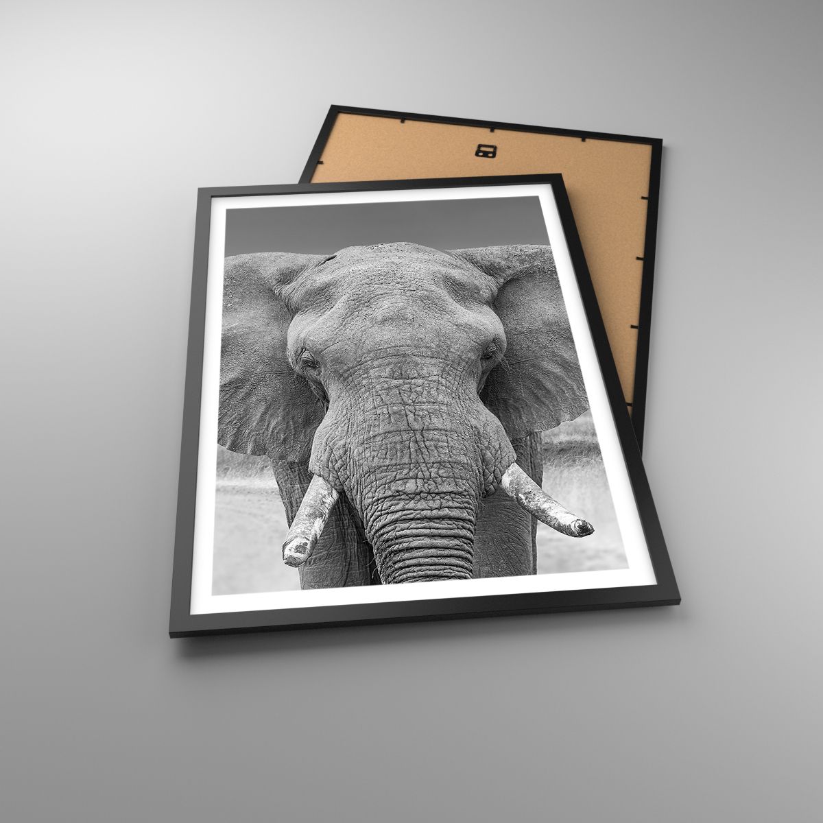 Poster Elefant, Poster Afrika, Poster Tiere, Poster Natur, Poster Schwarz Und Weiß