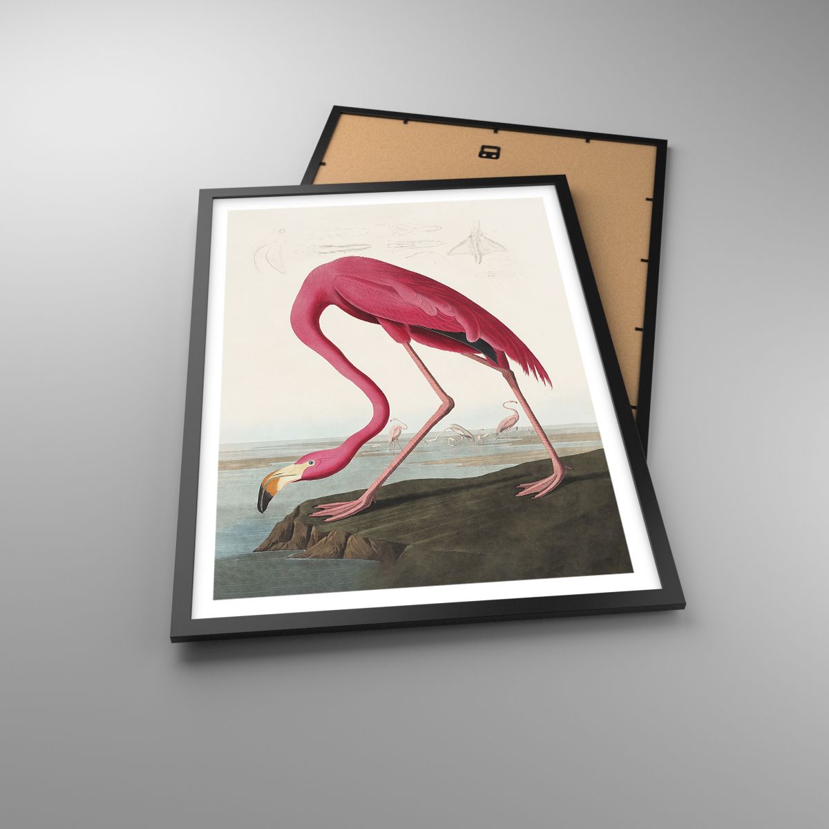 Poster Flamingo, Poster Vogel, Poster Kunst, Poster Malerei, Poster Natur