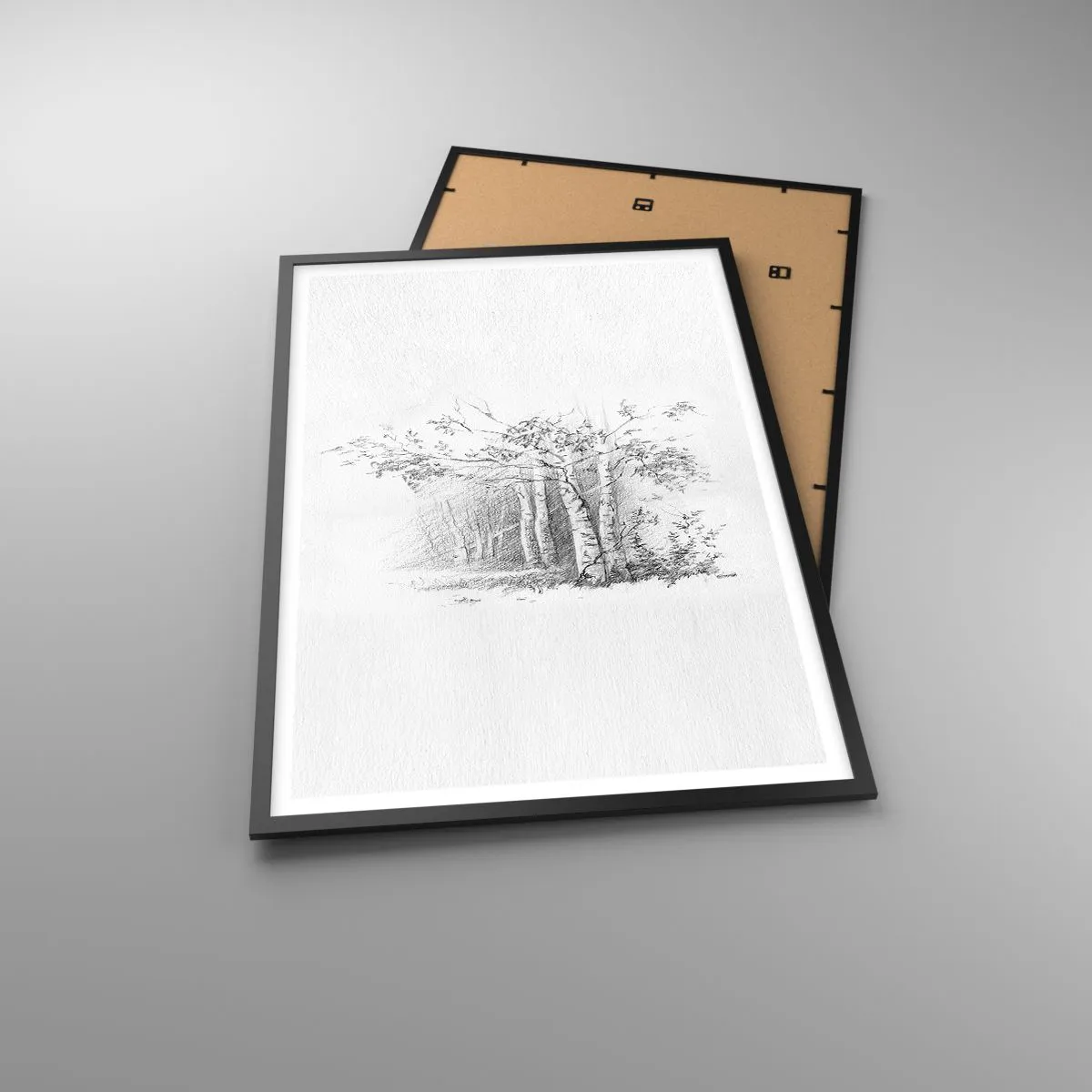 Affiche dans un cadre noir - Poster - Lumière d'une forêt de bouleaux - 61x91 cm