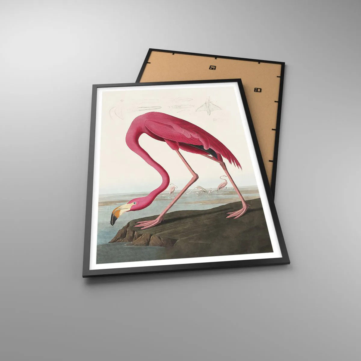 Affisch i svart ram - Underlig varelse - 61x91 cm