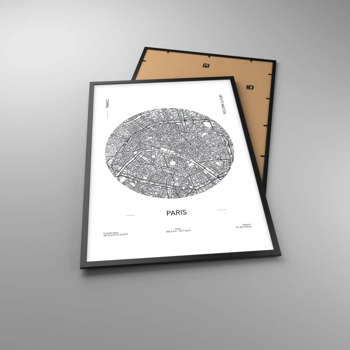 Plakát v černém rámu - Anatomie Paříže - 61x91 cm