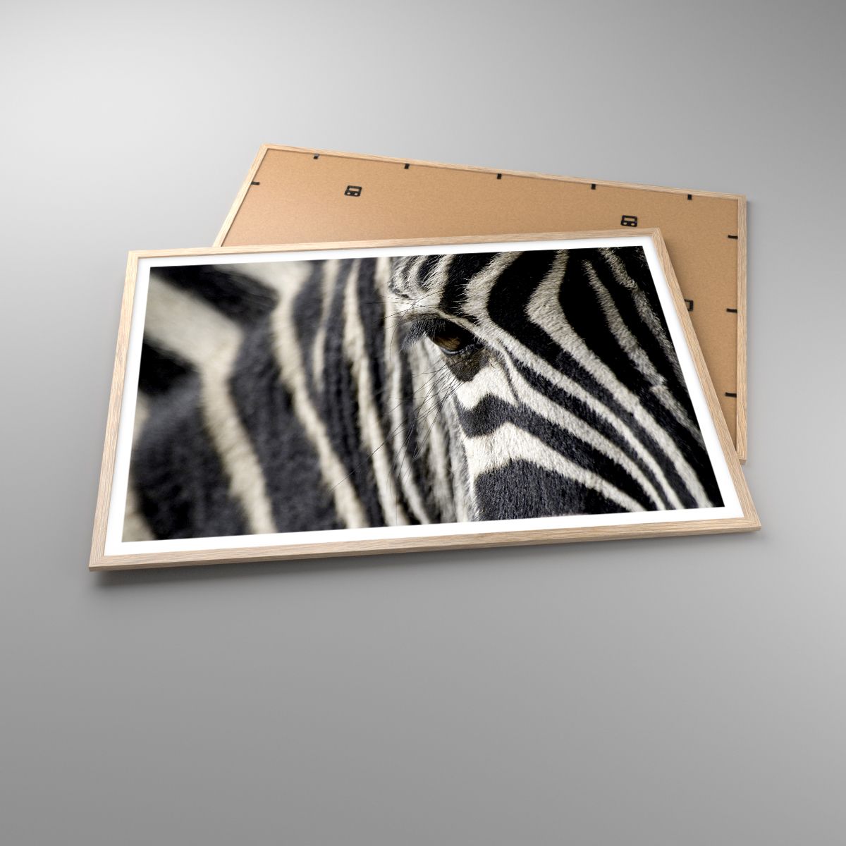Affiche Animaux, Affiche Côtes, Affiche Afrique, Affiche La Nature, Affiche Noir Et Blanc