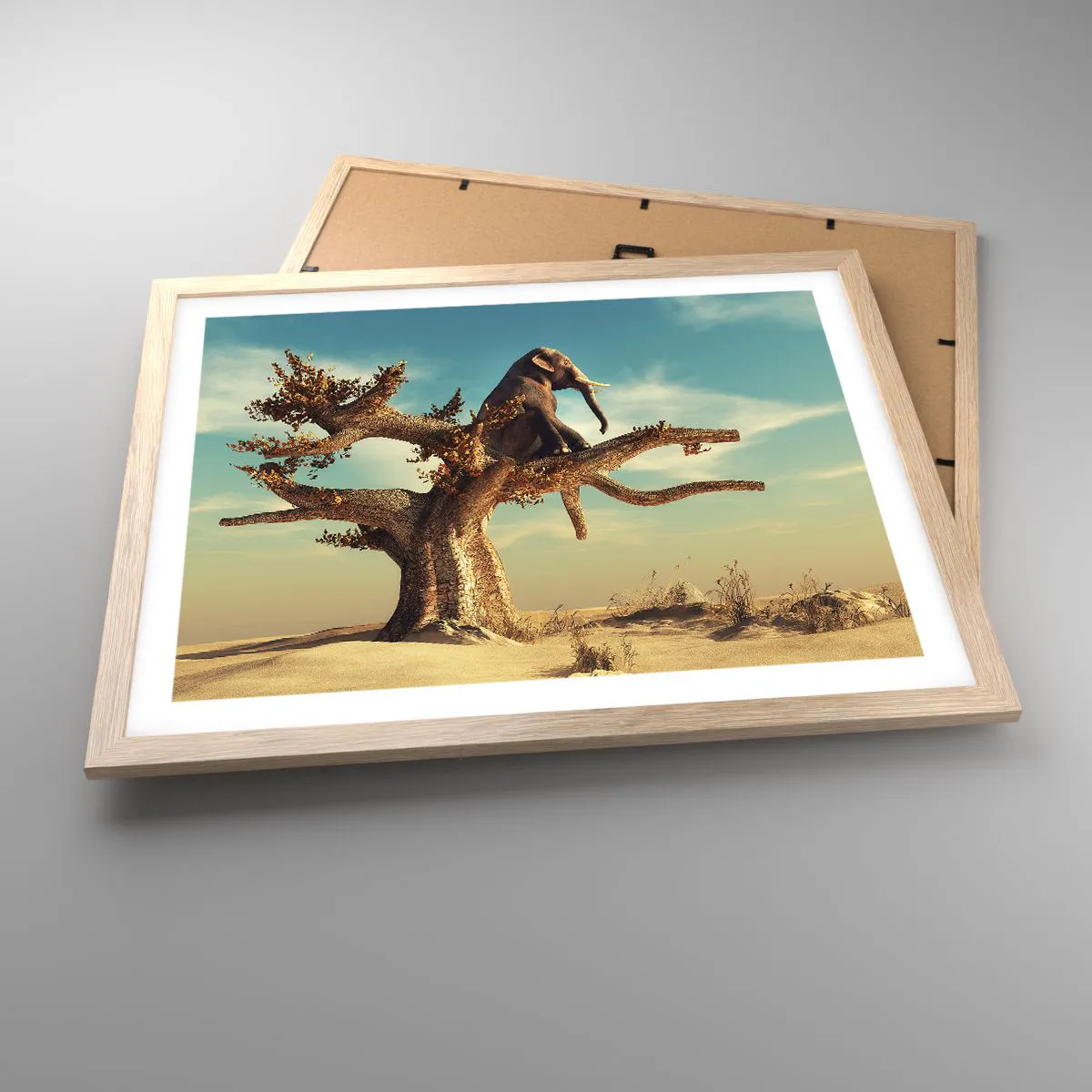 Affiche dans un chêne clair - Poster - Nouveau point de vue - 50x40 cm