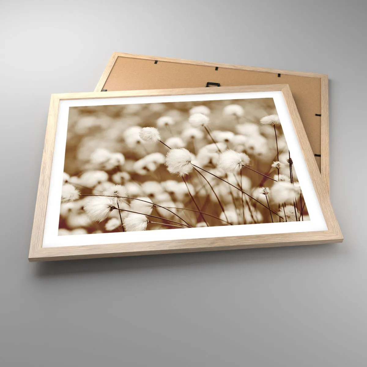Poster in light oak frame - Fluffy field - 50x40 cm