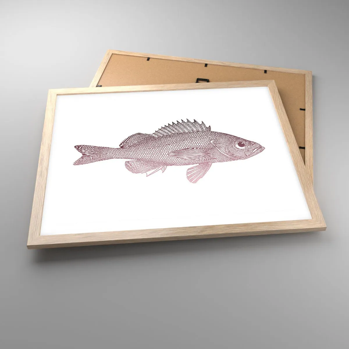 Pôster com moldura de carvalho claro - Peixe de olhos grandes - 50x40 cm