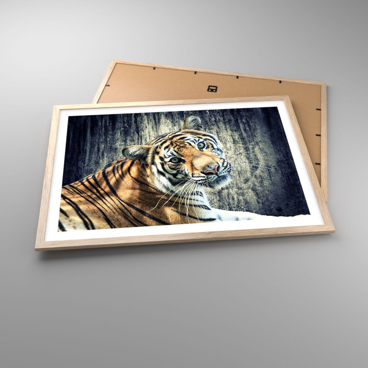 Poster Tiere, Poster Tiger, Poster Afrika, Poster Wildes Tier, Poster Indien