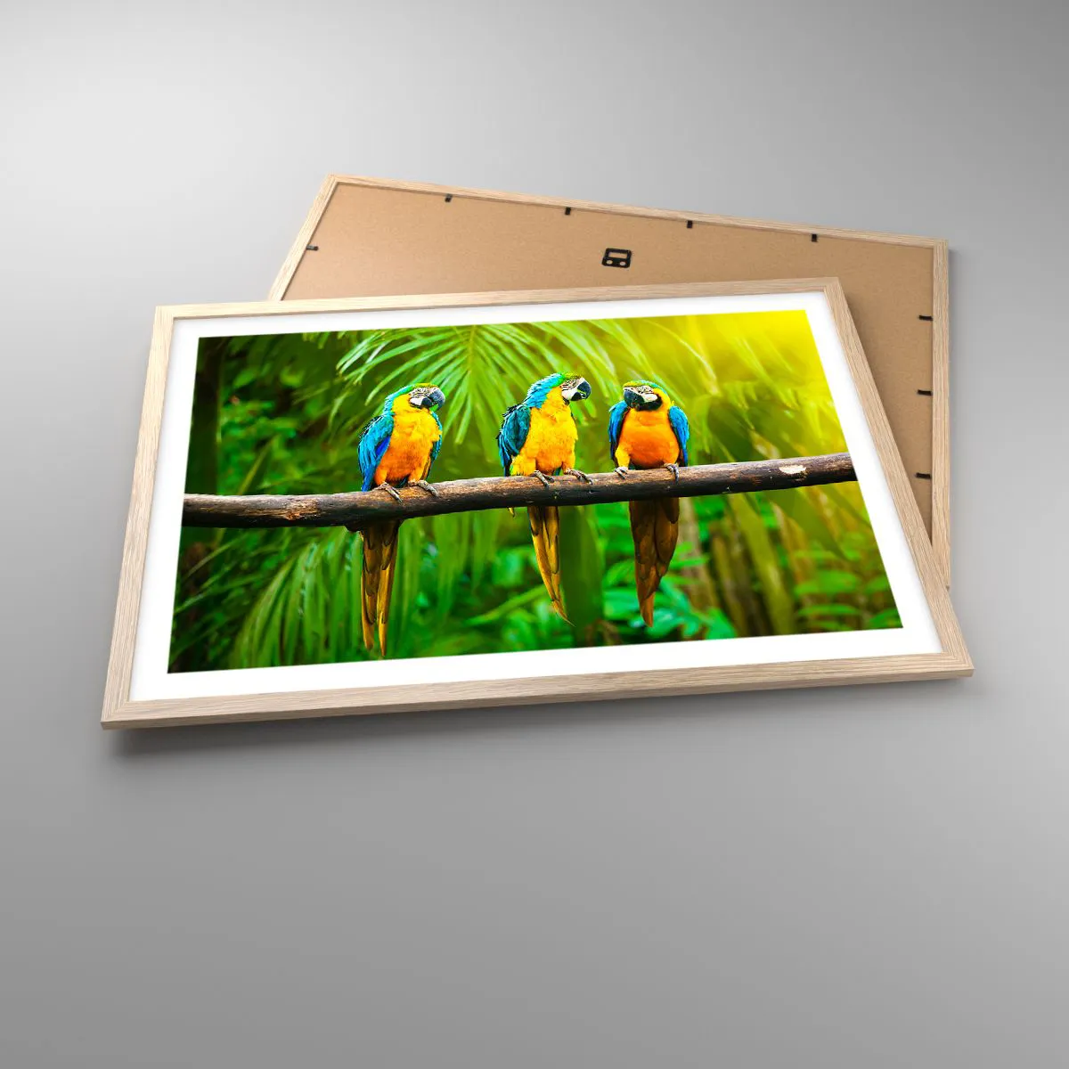 Affiche dans un chêne clair - Poster - Et avez-vous entendu qu'elle ...? - 70x50 cm