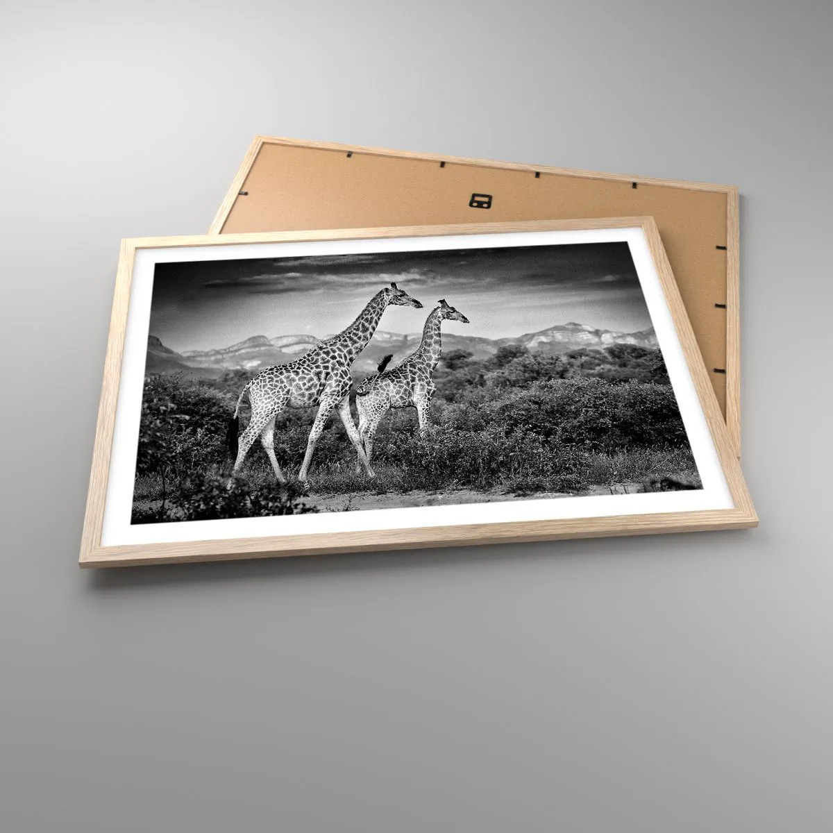 Affiche dans un chêne clair - Poster - Hautes sphères en Afrique - 70x50 cm