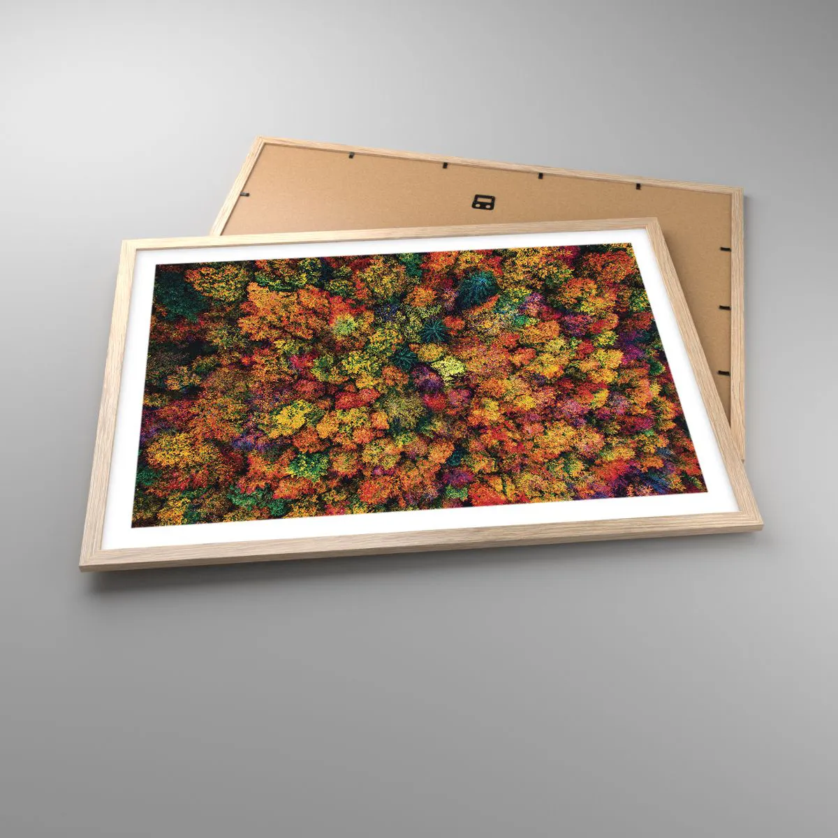 Plakat i ramme af lyst egetræ - Buket af efterårstræer - 70x50 cm