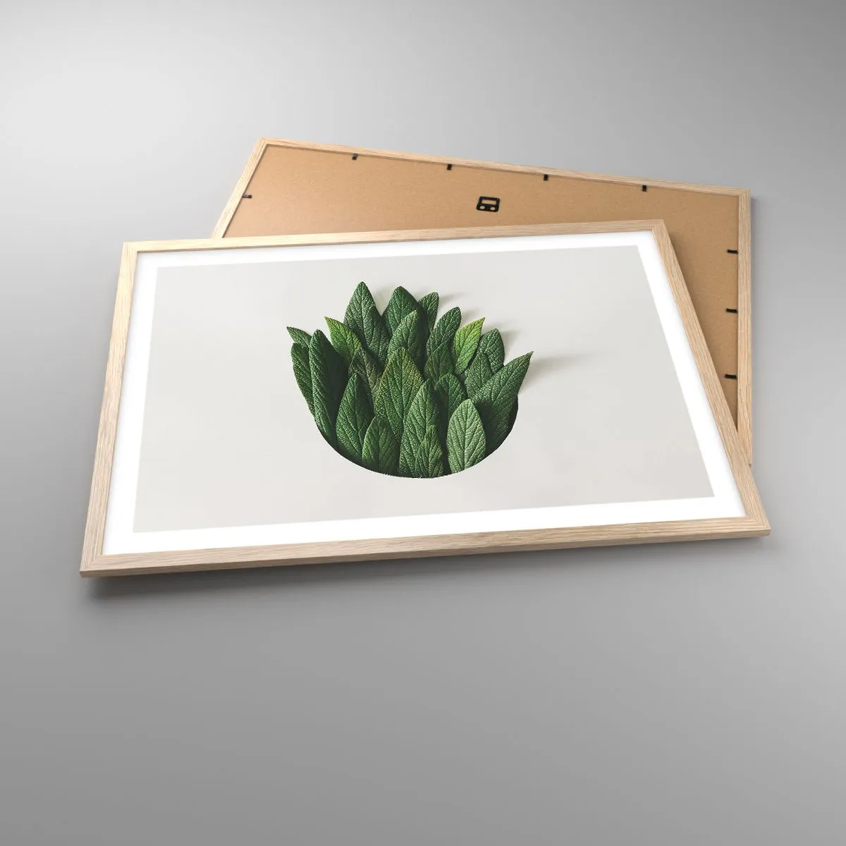 Poster în ramă de stejar deschis - Curiozitatea nestăvilită - 70x50 cm