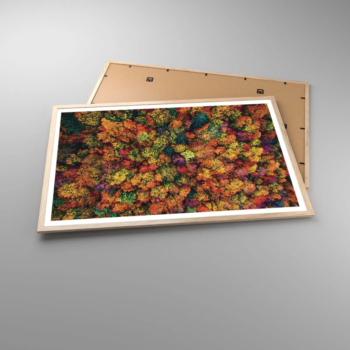 Plakat w ramie jasny dąb - Bukiet jesiennych drzew - 91x61 cm