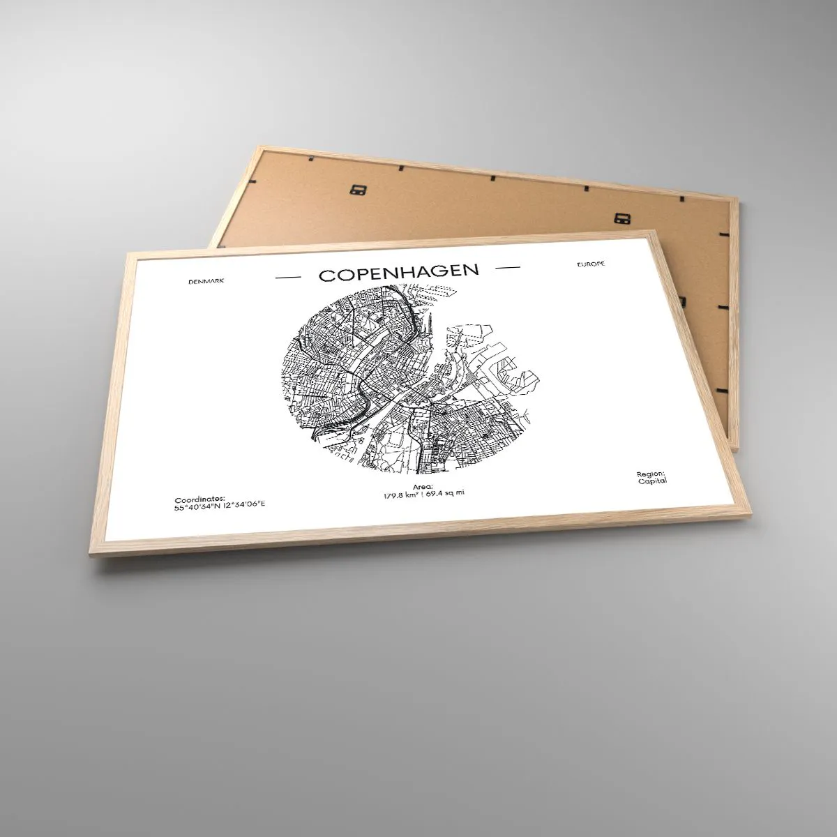 Affisch i ram av ljusek - Köpenhamns anatomi - 91x61 cm