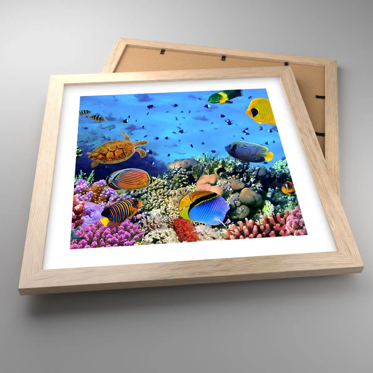 Affiche dans un chêne clair - Poster - Et que sait-on de la vie… - 30x30 cm