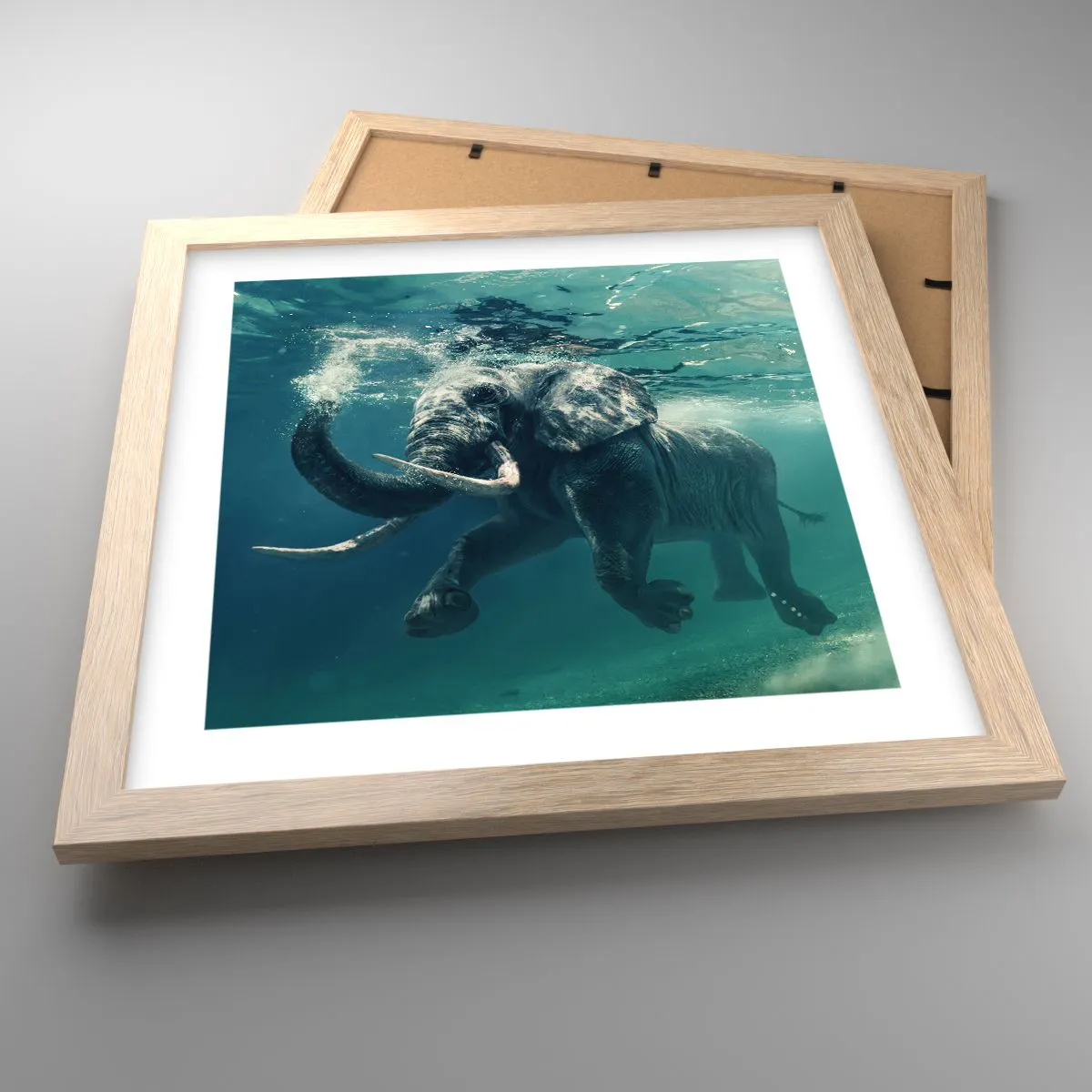 Plakat i ramme af lyst egetræ - Alle kan lide at svømme - 30x30 cm