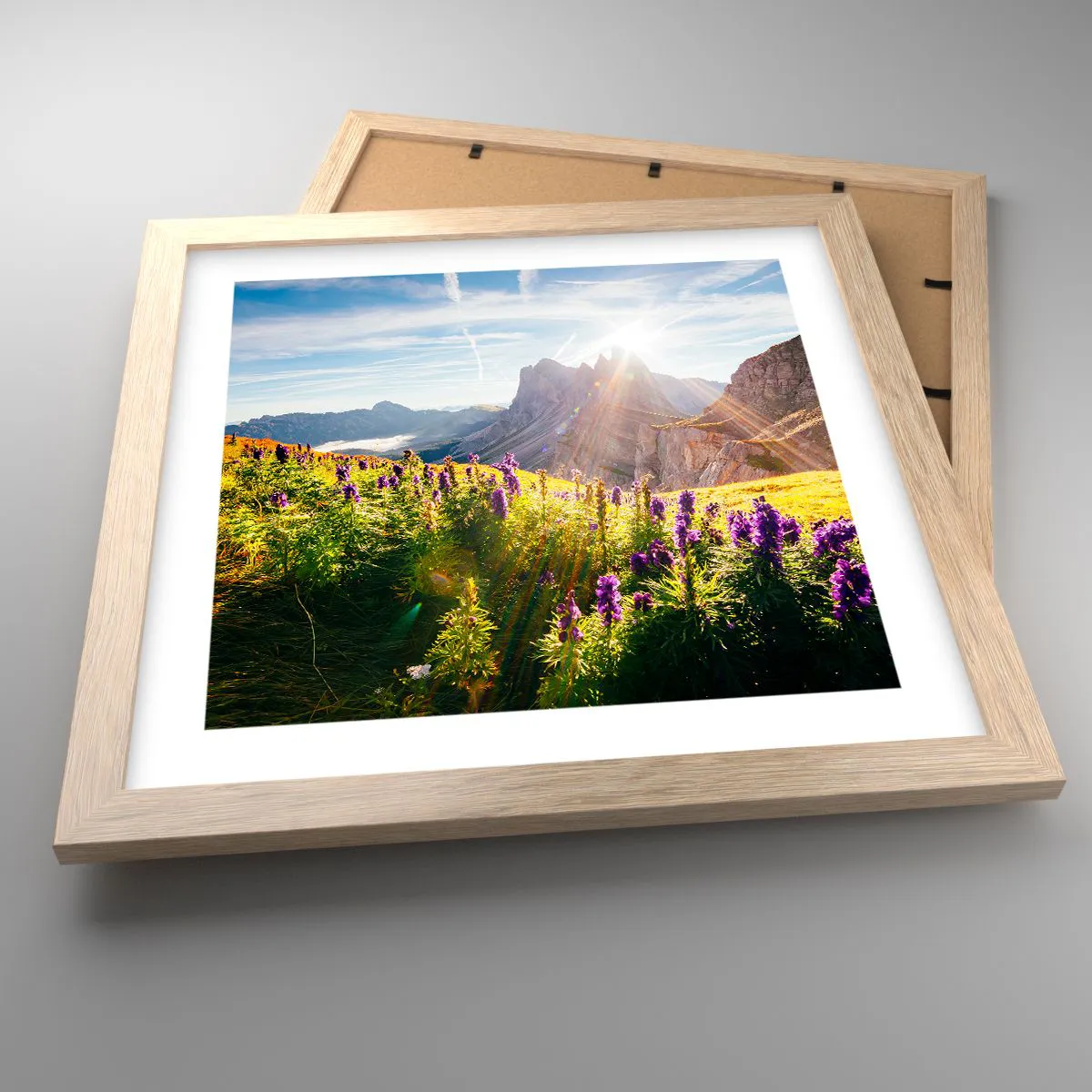 Poster in einem Rahmen aus heller Eiche - Das geheime Leben der Kräuter - 30x30 cm