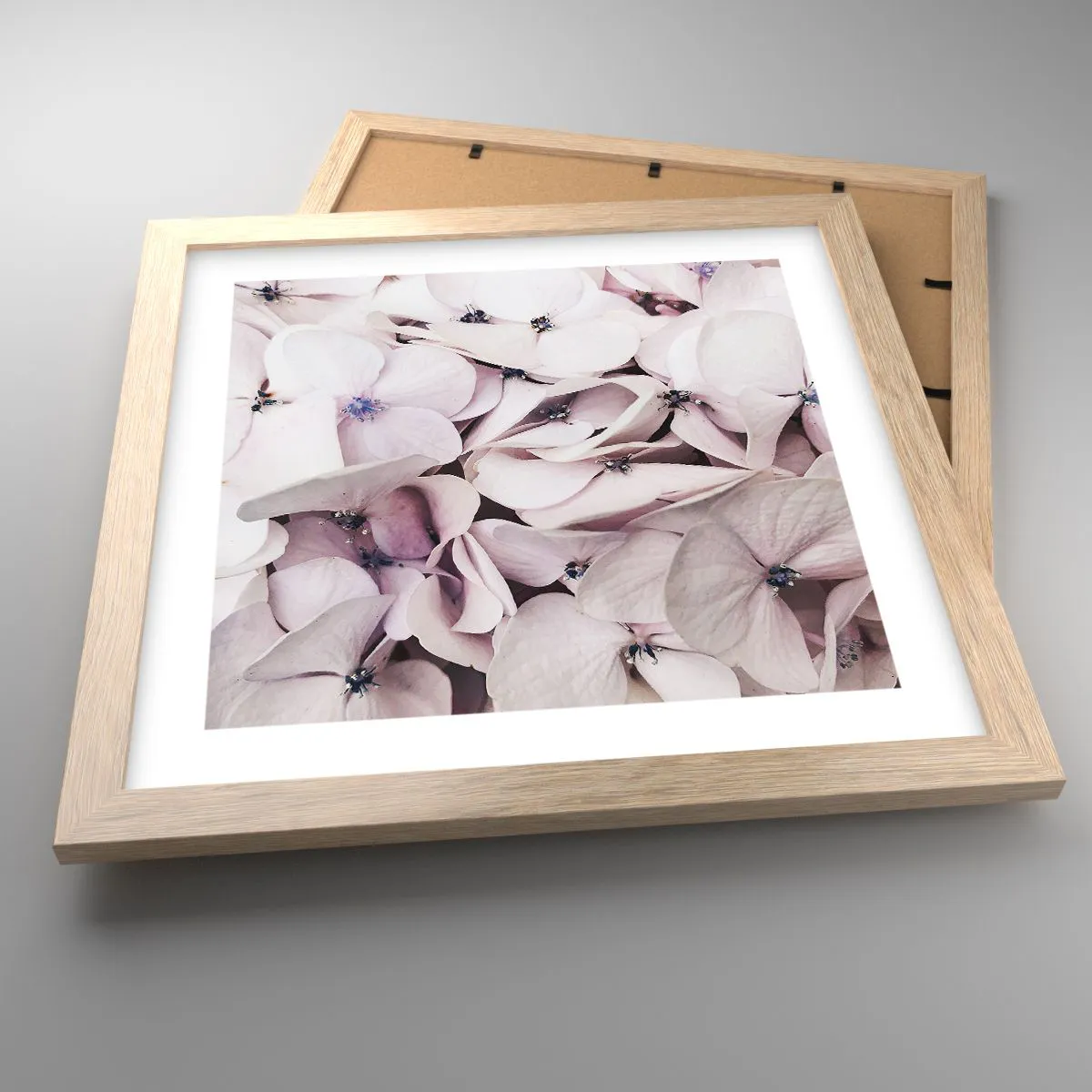 Poster in einem Rahmen aus heller Eiche - In einer Blumenflut - 30x30 cm