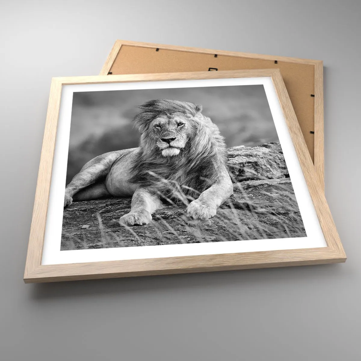 Affisch i ram av ljusek - Kunglig siesta - 40x40 cm