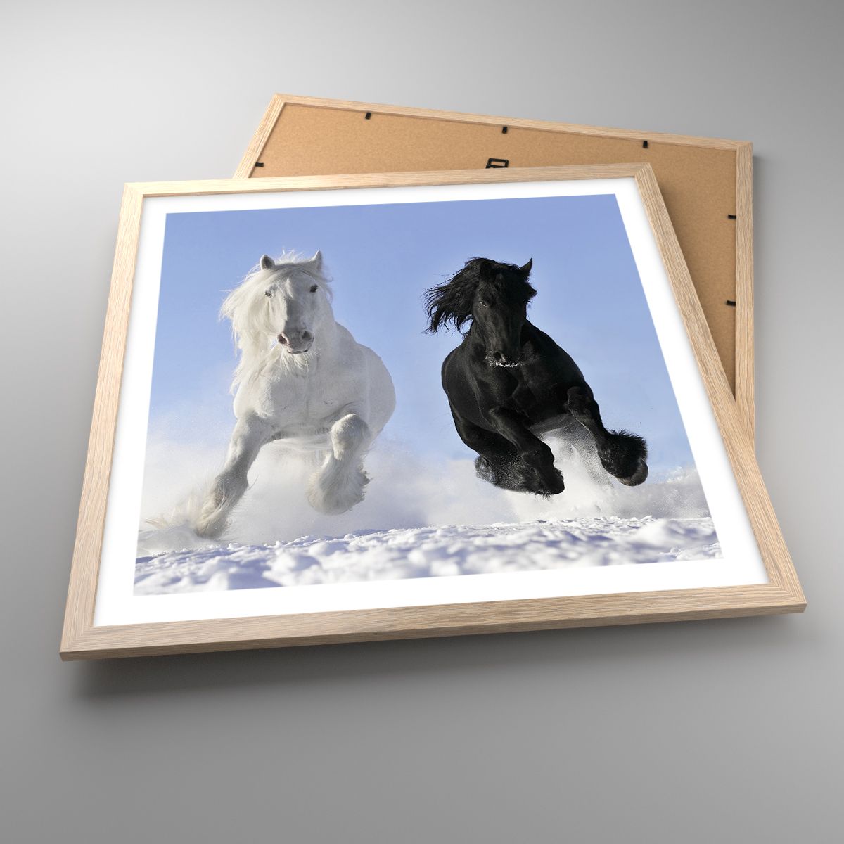 Poster Tiere, Poster Pferd, Poster Winter, Poster Natur, Poster Galopp