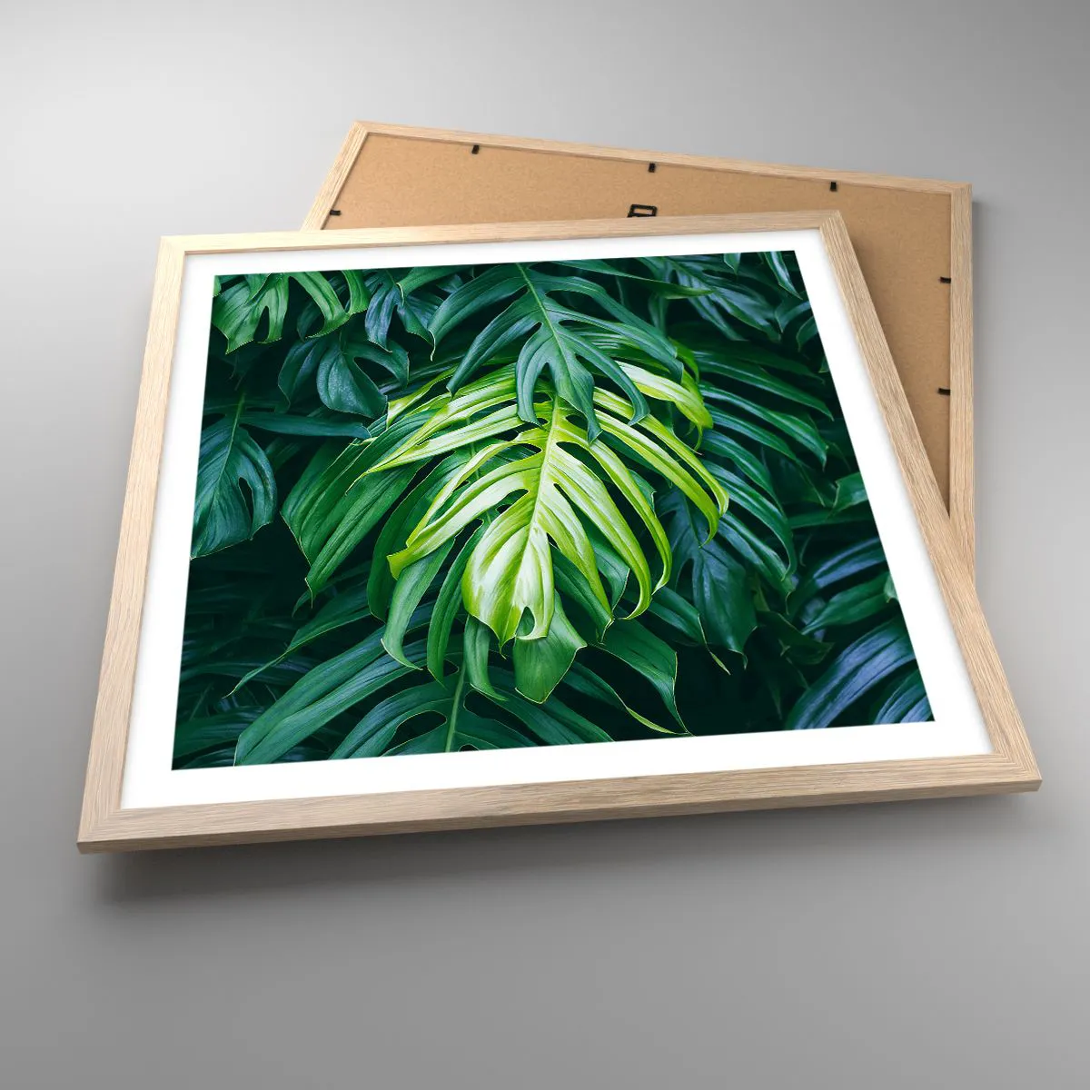 Affiche dans un chêne clair - Poster - Immergez-vous dans la fraîcheur - 50x50 cm