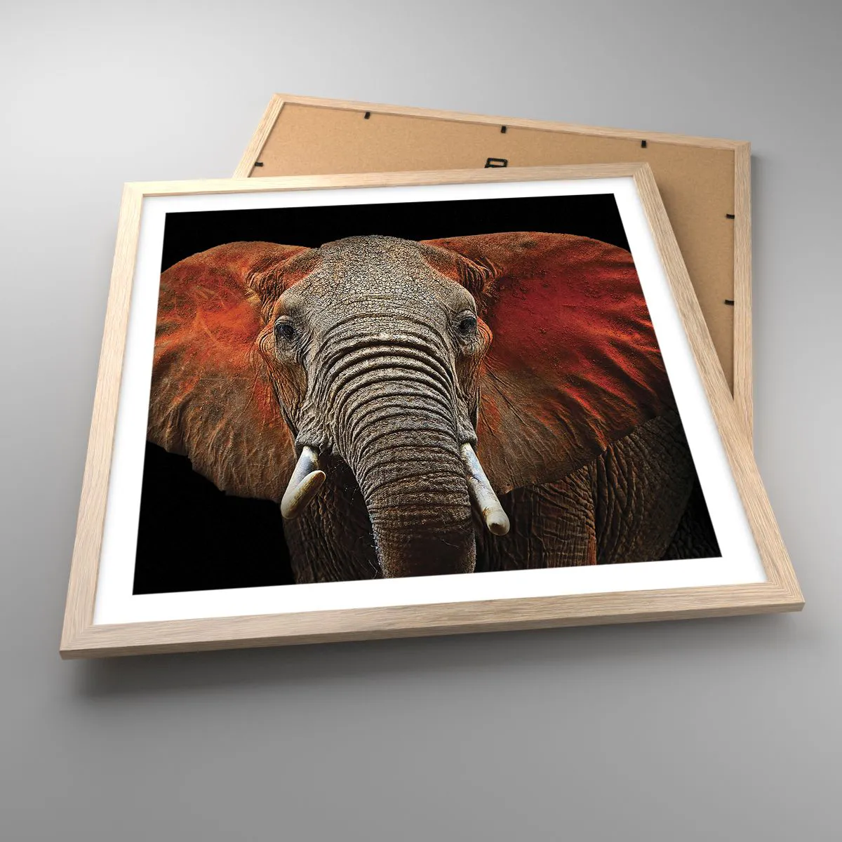 Plagát v ráme zo svetlého duba - Som divoký, a ty? - 50x50 cm