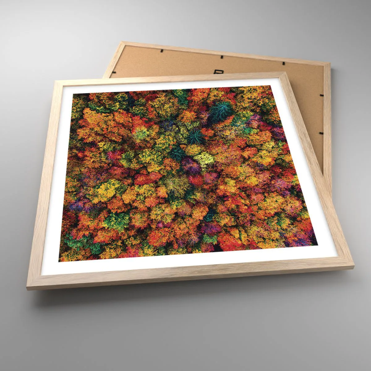 Affiche dans un chêne clair - Poster - Bouquet d'arbres automnal - 50x50 cm