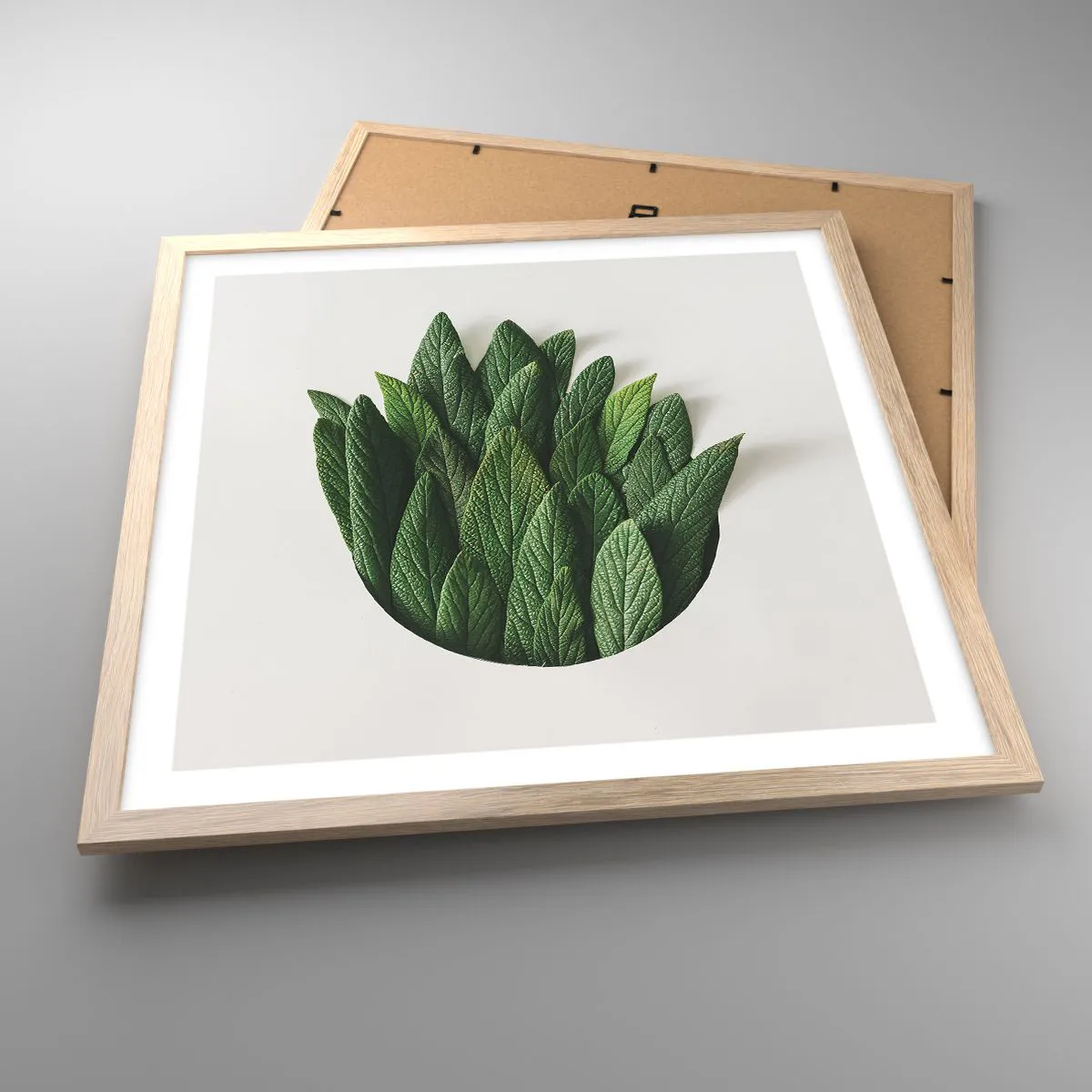 Poszter világos tölgy keretben - Féktelen kíváncsiság - 50x50 cm