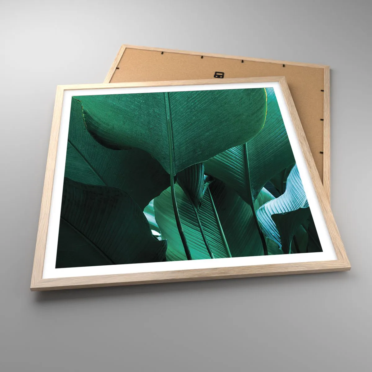 Poster în ramă de stejar deschis - Cu frunza la lumină - 60x60 cm