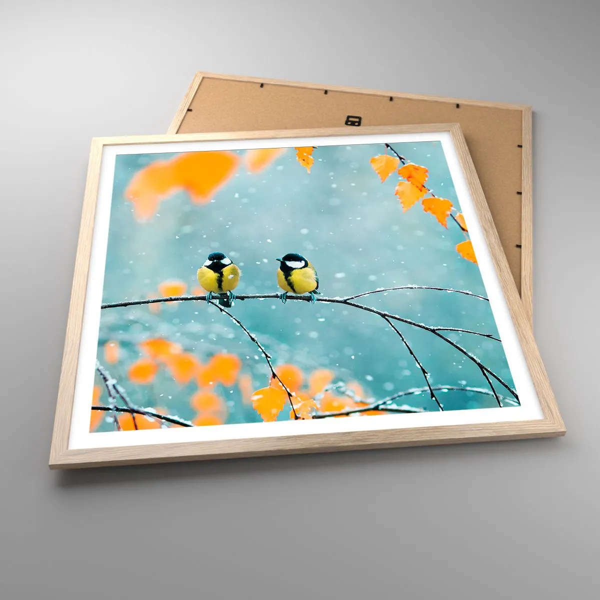 Plagát v ráme zo svetlého duba - Vtáčie klebety - 60x60 cm