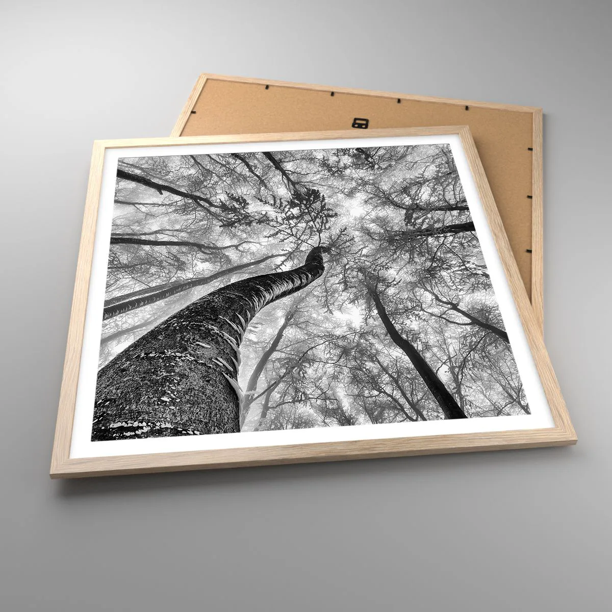 Poszter világos tölgy keretben - Verseny a fény felé - 60x60 cm
