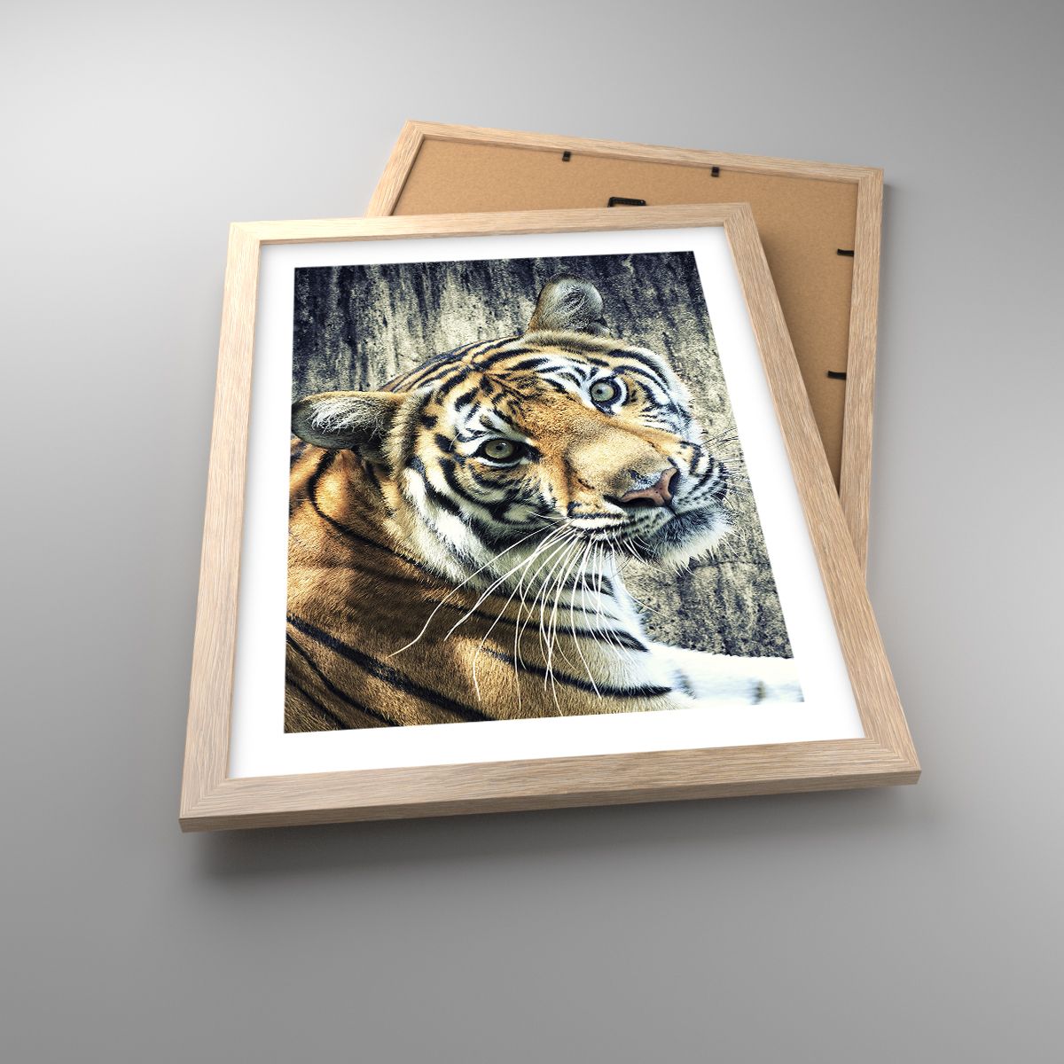 Poster Tiere, Poster Tiger, Poster Afrika, Poster Wildes Tier, Poster Indien