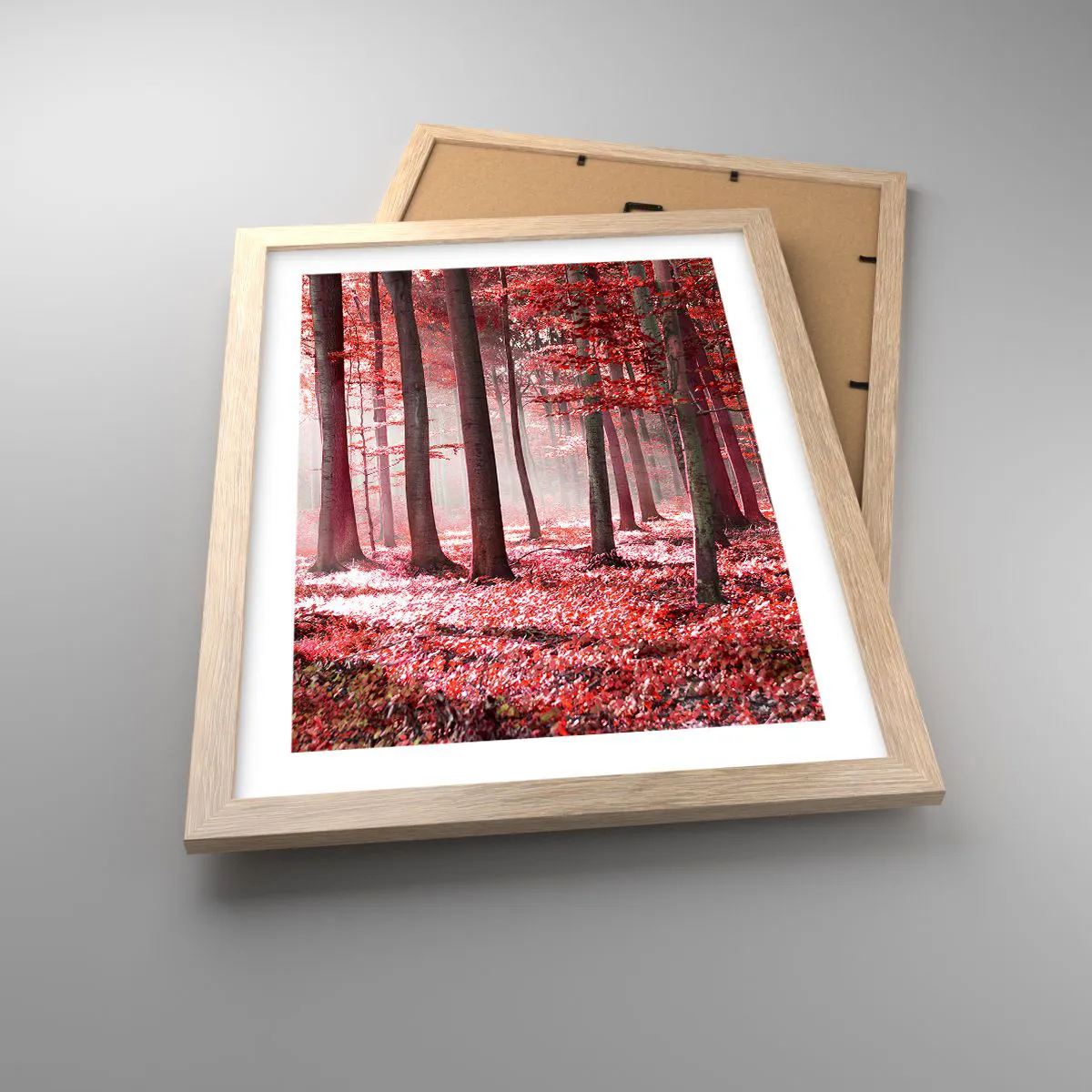 Poszter világos tölgy keretben - A piros különösen szép - 30x40 cm