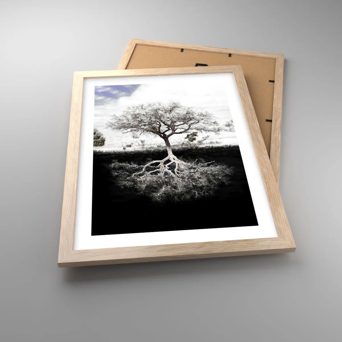 Poszter világos tölgy keretben - A világ természetének felfedezése - 30x40 cm