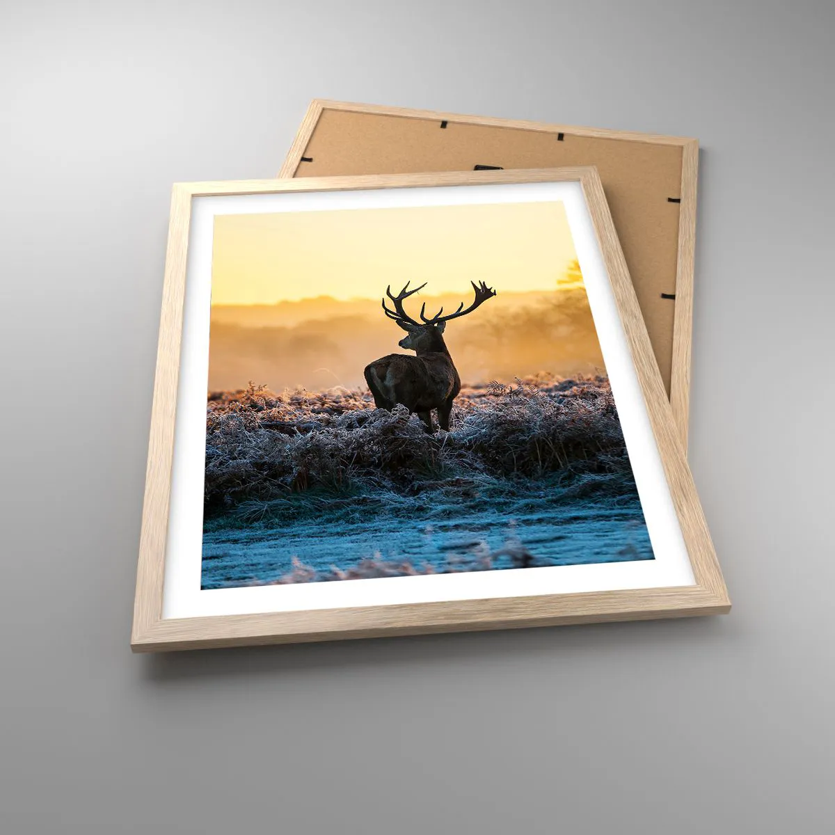 Poster in light oak frame - Crowned in Its Kingdom - 40x50 cm