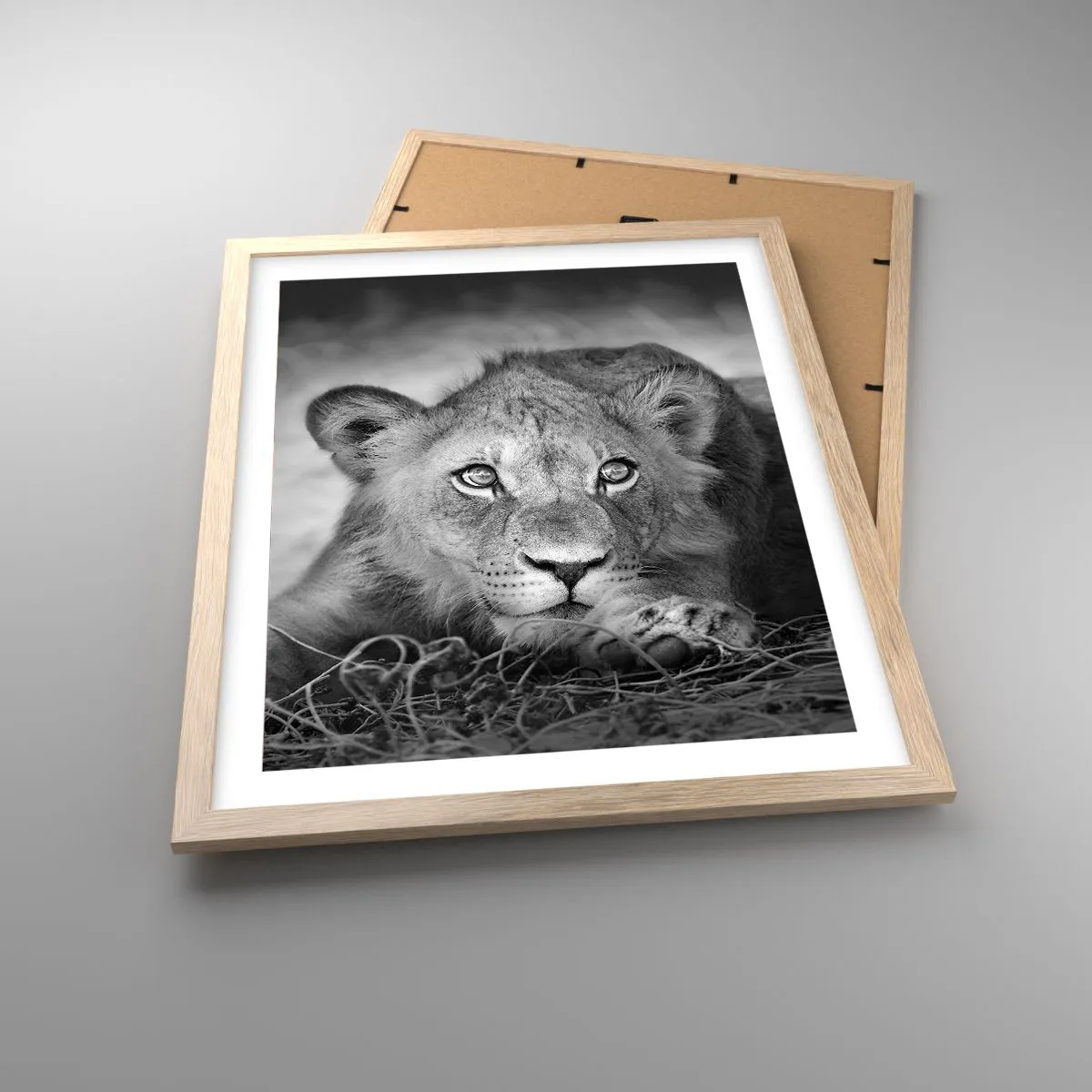 Affiche dans un chêne clair - Poster - Chiot royal - 40x50 cm