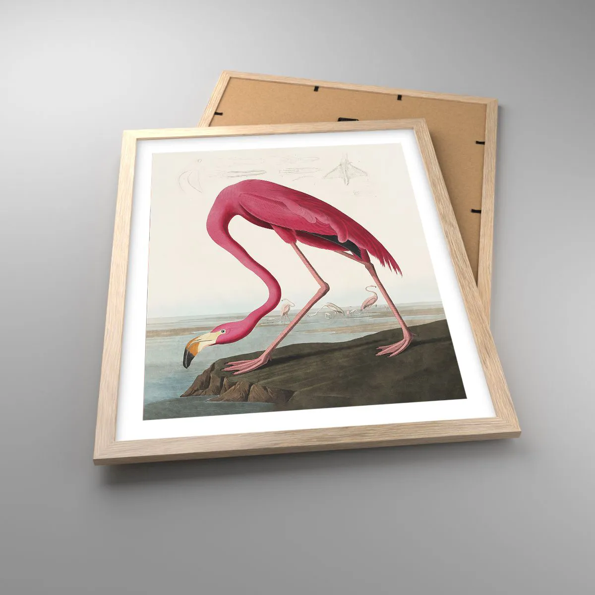 Plakat i ramme af lyst egetræ - Et forbløffende væsen - 40x50 cm